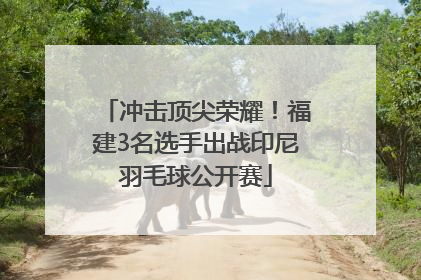冲击顶尖荣耀！福建3名选手出战印尼羽毛球公开赛